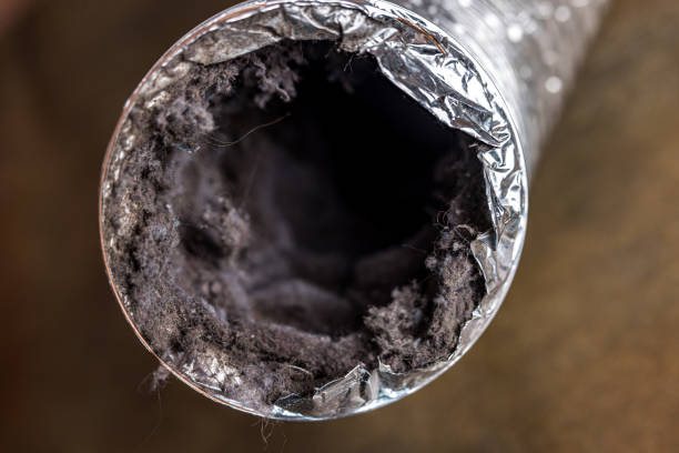 Best Commercial Air Duct Cleaning  in Paradise Valley, AZ
