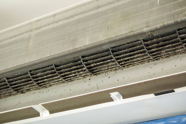 Best Ductwork Cleaning Services  in Paradise Valley, AZ
